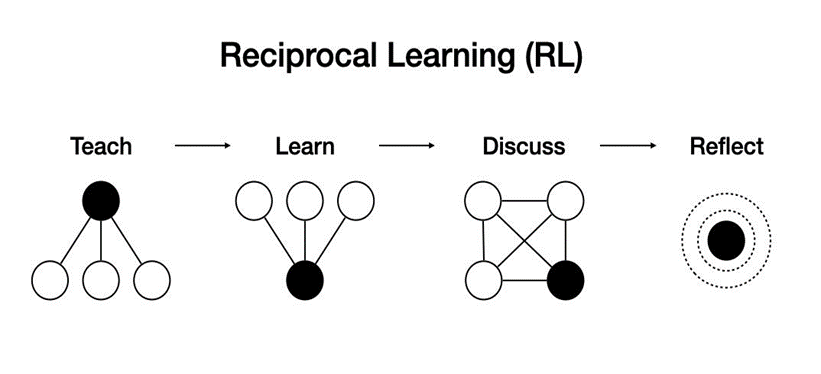 Individual Reciprocal Learning Stages